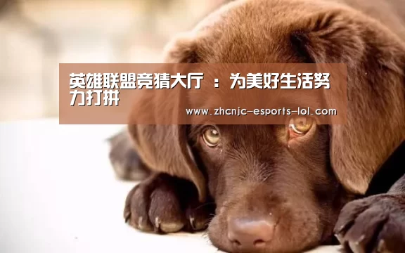 英雄联盟竞猜大厅 :为美好生活努力打拼(图3) LOL全球总决赛下注官方网站
