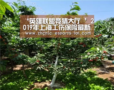 ‘英雄联盟竞猜大厅 ’2019年上海工伤保险最新规定:赔偿范围、标准、流程(图2) LOL全球总决赛下注官方网站
