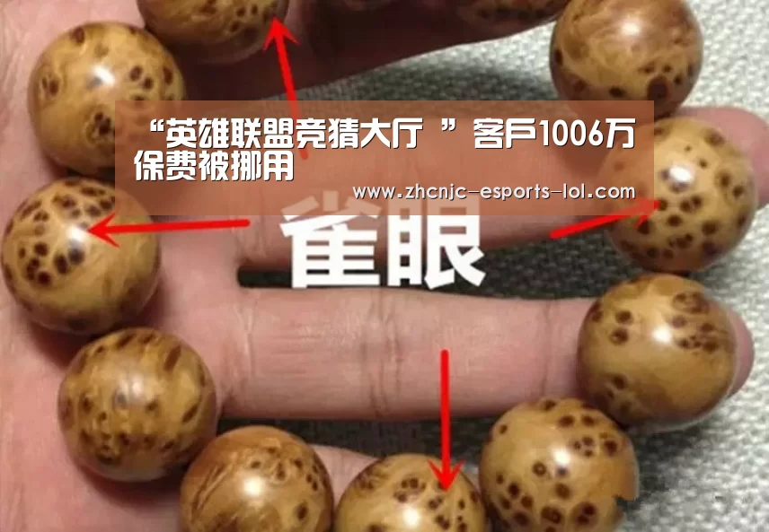 “英雄联盟竞猜大厅 ”客户1006万保费被挪用(图3) 英雄联盟竞猜大厅