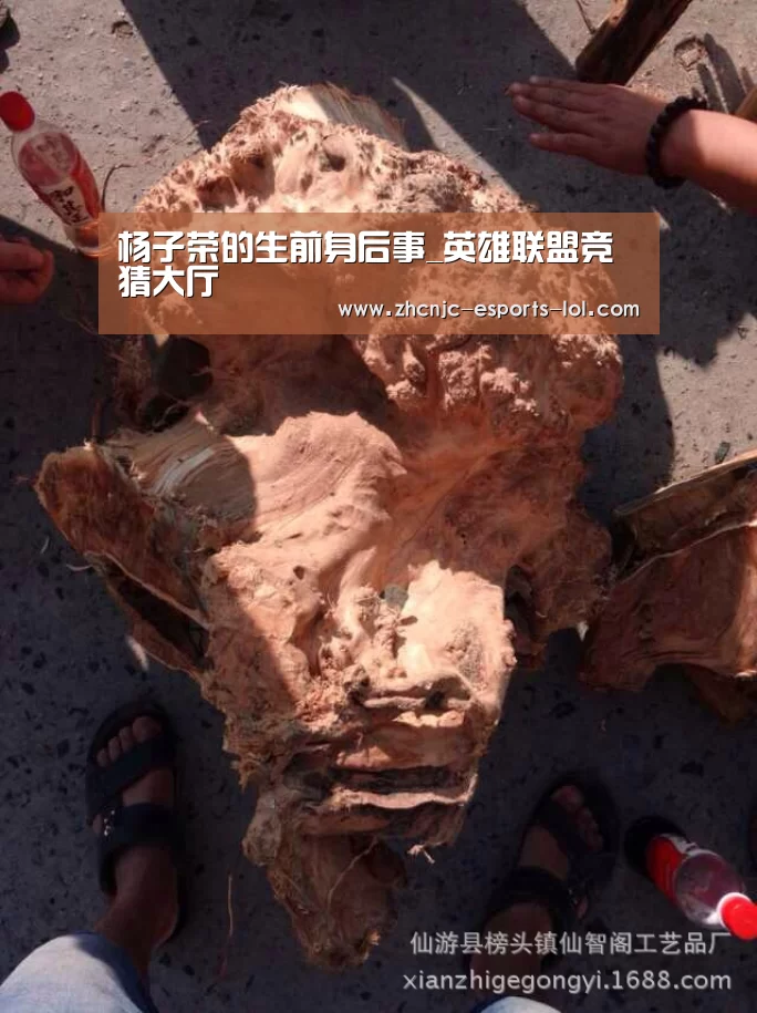 杨子荣的生前身后事_英雄联盟竞猜大厅 (图2) 英雄联盟竞猜大厅