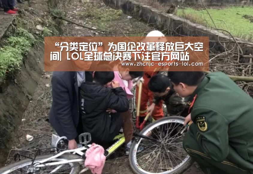 “分类定位”为国企改革释放巨大空间| LOL全球总决赛下注官方网站(图4) 英雄联盟竞猜大厅
