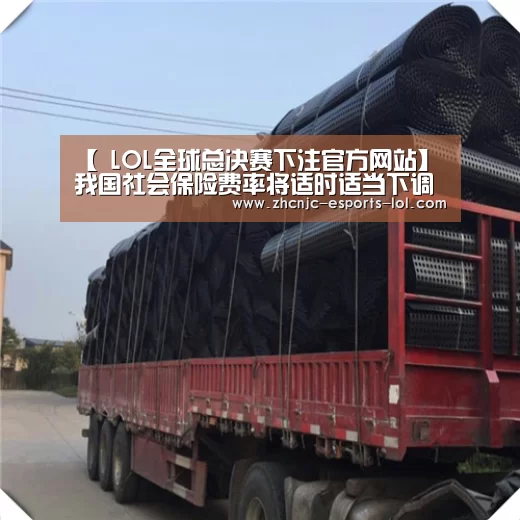【 LOL全球总决赛下注官方网站】我国社会保险费率将适时适当下调(图2) LOL全球总决赛下注官方网站