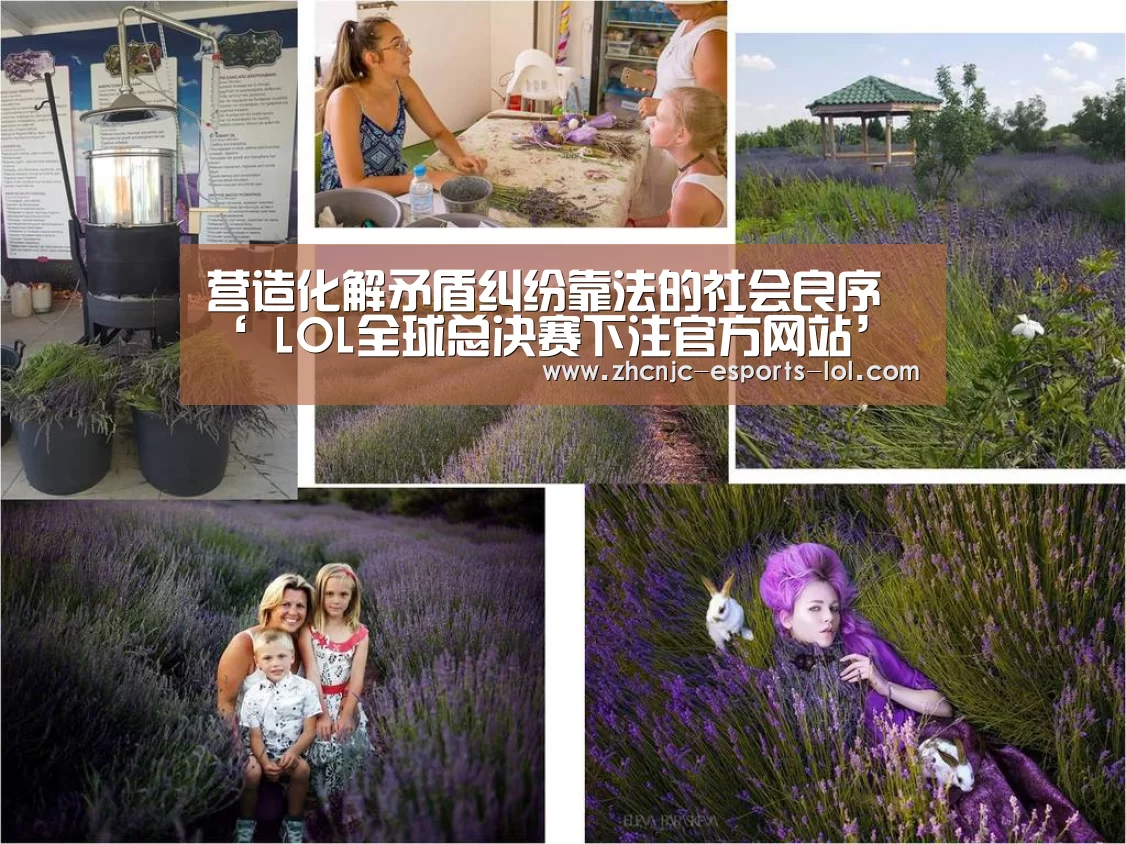 营造化解矛盾纠纷靠法的社会良序‘ LOL全球总决赛下注官方网站’