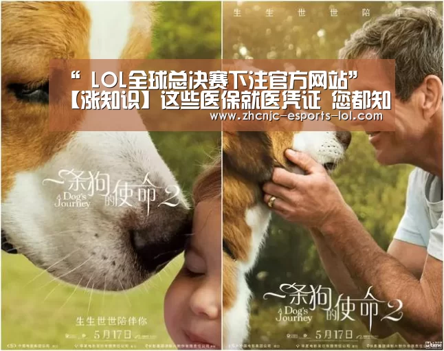 “ LOL全球总决赛下注官方网站”
【涨知识】这些医保就医凭证 您都知道吗?(图1) LOL全球总决赛下注官方网站