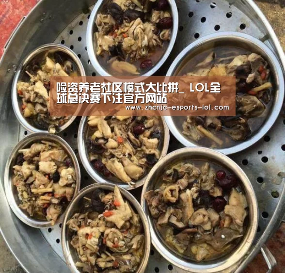 险资养老社区模式大比拼_ LOL全球总决赛下注官方网站(图3) LOL全球总决赛下注官方网站
